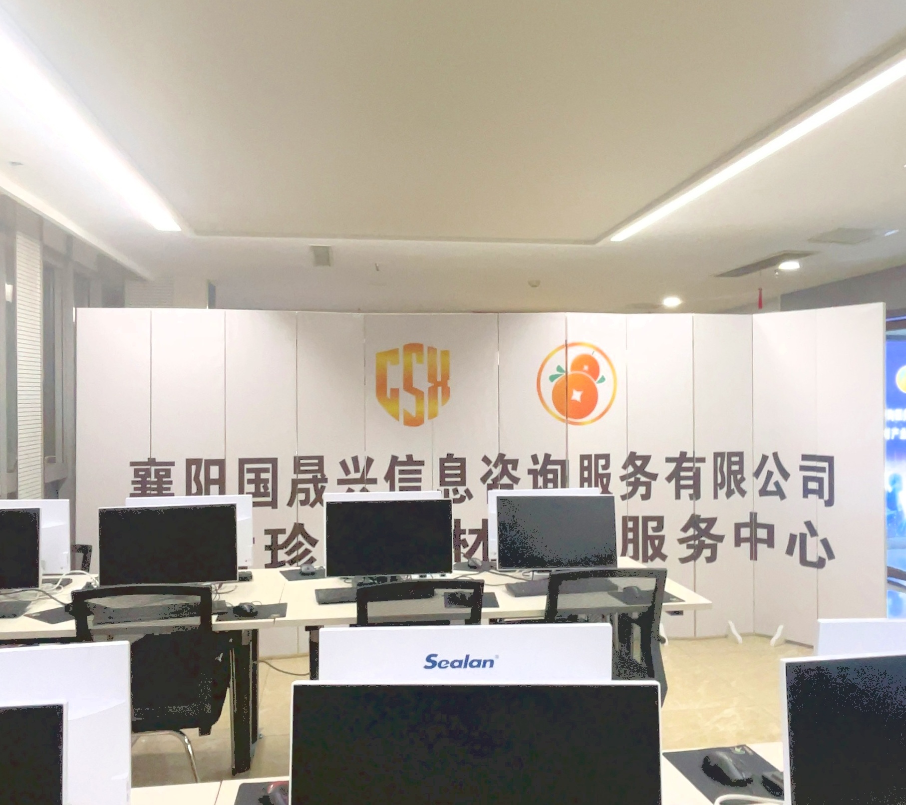 國晟興信息咨詢服務